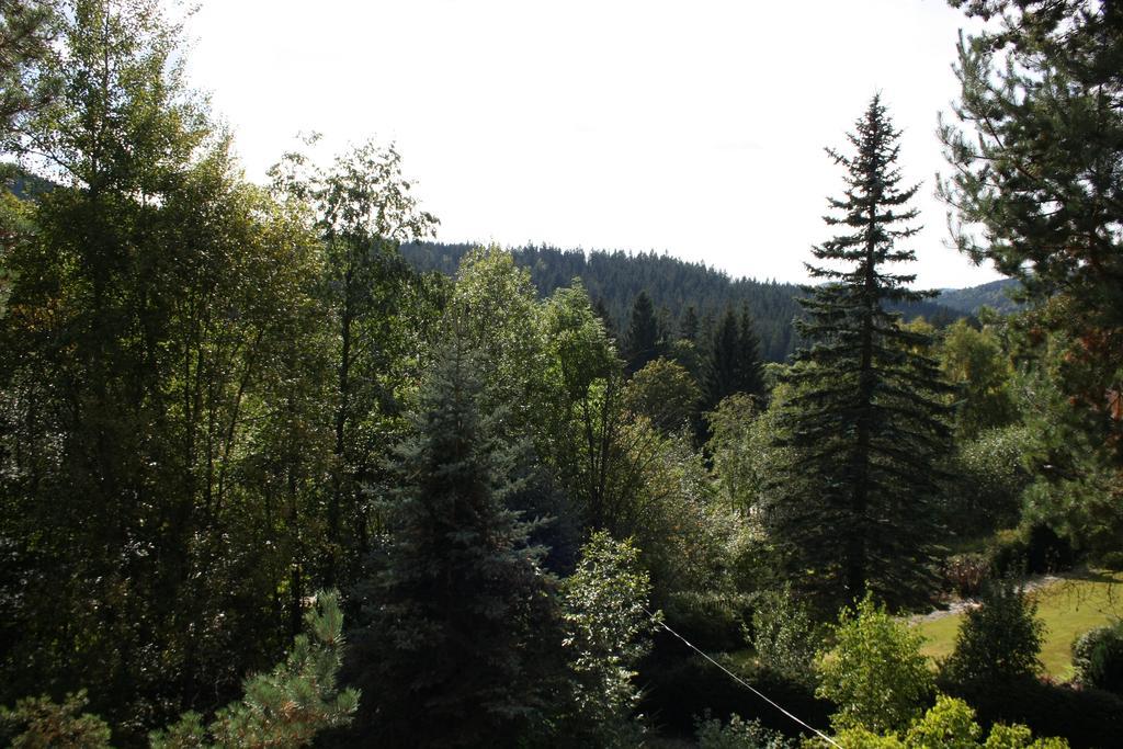 Konvalinka - Ubytovani V Soukromi Harrachov Buitenkant foto